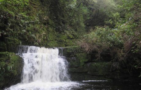 Cascada menor de McLean Falls