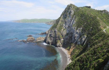 Acantilados de Nugget Point