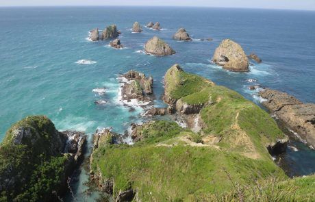 Acantilados de Nugget Point