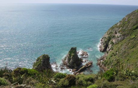 Acantilados de Nugget Point