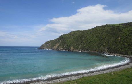 Playa de Roaring Bay