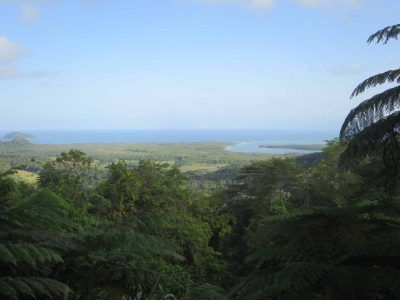 Vistas de bosque y mar desde Mount Alexandra Lookout