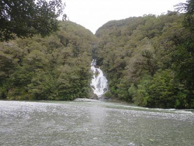 Cascada de Fantail Falls