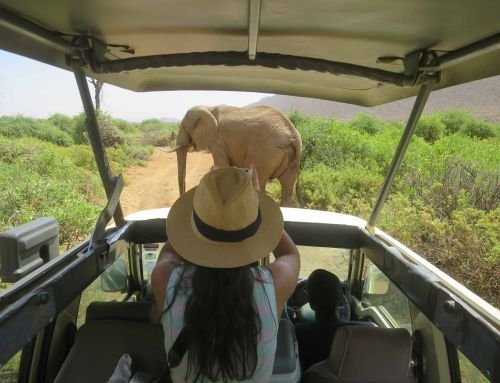 Viaje a Kenia barato: itinerario, información general, presupuesto y preparativos