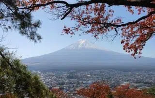 Tokio y alrededores en viaje a Japón por libre con bebés o niños